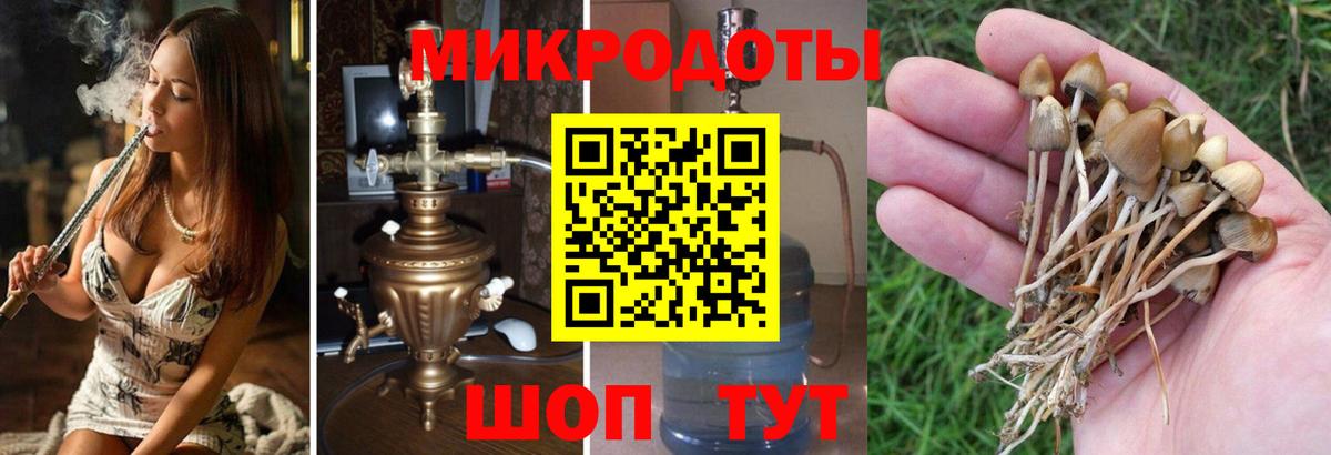 Псилоцибиновые грибы прущие грибы Зеленодольск
